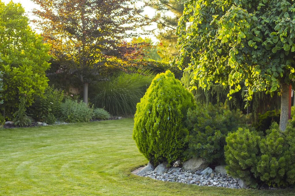 ¿Quiere que su jardín luzca perfecto?